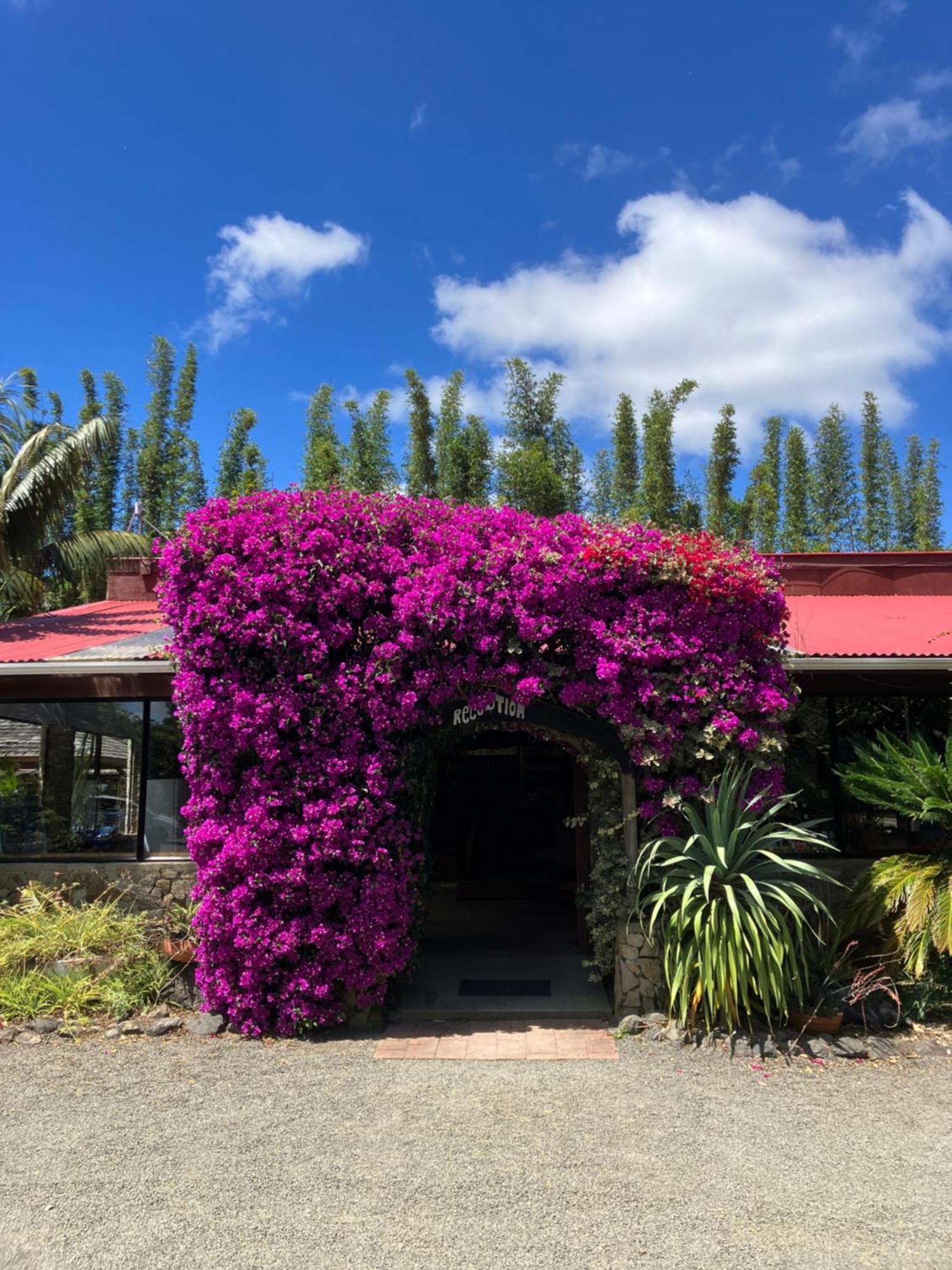 Ahipara Holiday Park Exteriör bild
